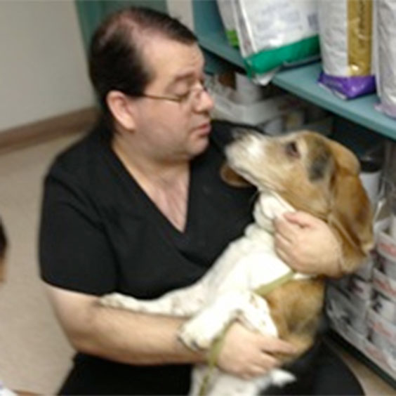 Associates in Veterinary Medicine and Surgery, serving Fort Myers, FL area.